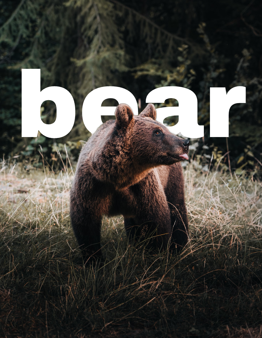 Text behind Bear